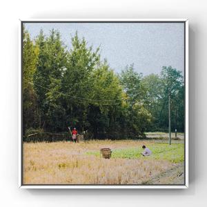 男女生双排视频网站
