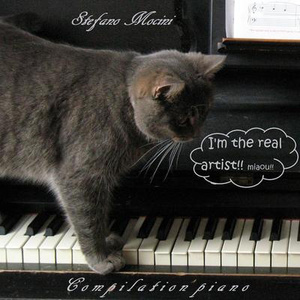 男女生双排视频网站
