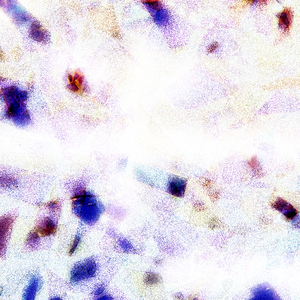 男女生双排视频网站
